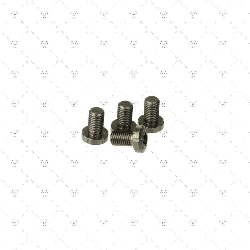 1911 Torx Grip Screws with BLACK ZINC COATING