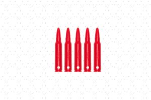 Dummy Rounds - .223/.556